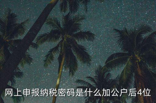 網(wǎng)上如何申報(bào)國(guó)稅密碼是什么，國(guó)稅第一次網(wǎng)上申報(bào)的登陸密碼是什么