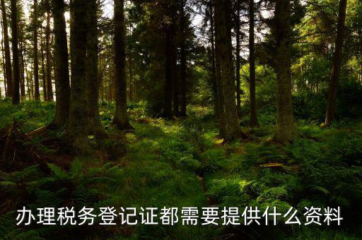 辦理稅務(wù)登記需要什么資料，辦理稅務(wù)登記證都需要提供什么資料