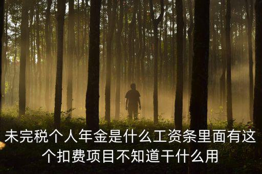 個稅年金是什么，未完稅個人年金是什么工資條里面有這個扣費項目不知道干什么用