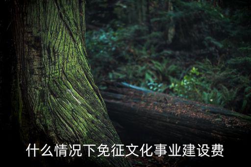 什么叫文化建設(shè)費(fèi)，文化建設(shè)事業(yè)費(fèi)