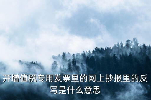 開票系統(tǒng)反寫是什么意思，開增值稅專用發(fā)票里的網(wǎng)上抄報(bào)里的反寫是什么意思