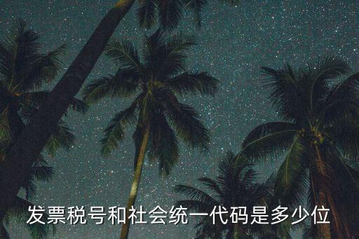 發(fā)票統(tǒng)一社會(huì)信用代碼是什么，現(xiàn)在開(kāi)發(fā)票要的社會(huì)信用代碼是誰(shuí)的代碼