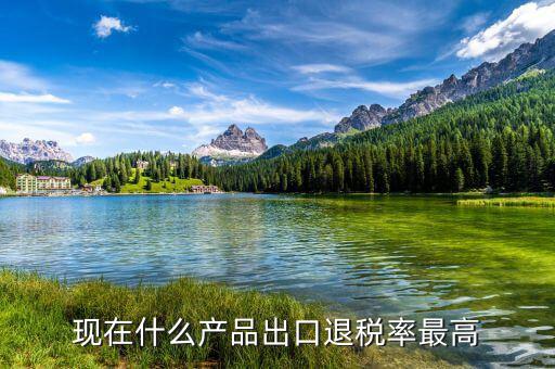 出口什么退稅高，08年哪些產(chǎn)品出口退稅比較高的