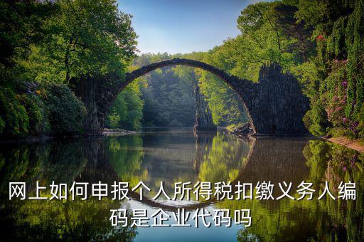 江西省個稅代扣系統(tǒng)的編碼是什么，網(wǎng)上如何申報個人所得稅扣繳義務人編碼是企業(yè)代碼嗎