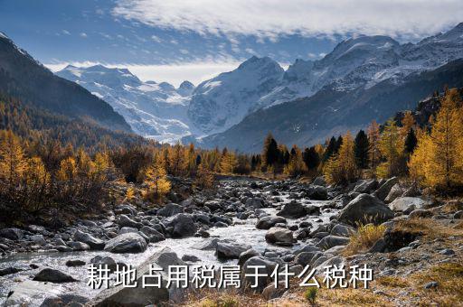 耕地建設稅屬于什么稅，耕地占用稅是資源稅還是特定行為稅