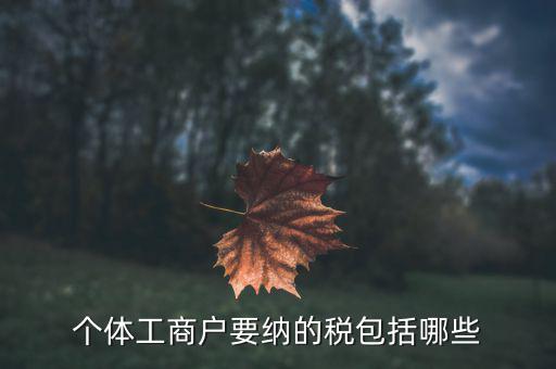 個體需要繳納什么稅，個體工商戶需要交哪些稅