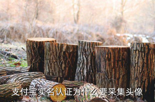 為什么要實名采集，會計人員為什么要信息采集