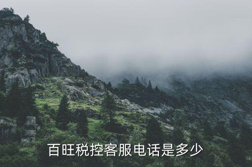 百旺是個(gè)什么公司，百旺稅控客服電話是多少