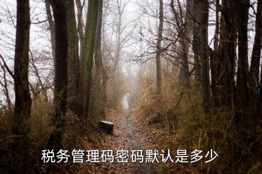 湖北國稅盤原始密碼是什么意思，湖北地稅網(wǎng)絡(luò)發(fā)票登陸密碼是什么急急急