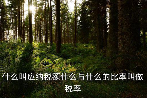 什么叫應(yīng)用稅額，各種收入等于應(yīng)用稅額除以什么