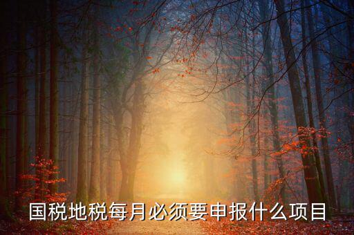 國稅月初申報(bào)什么，國稅地稅每月必須要申報(bào)什么項(xiàng)目