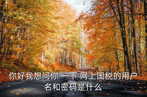 國(guó)稅登陸名和密碼是什么意思，國(guó)稅第一次網(wǎng)上申報(bào)的登陸密碼是什么