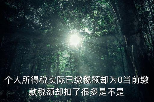 實繳稅額為什么是0，當(dāng)期的實交增值稅額為0是否進行城建稅的申報什么意思可以不用申報