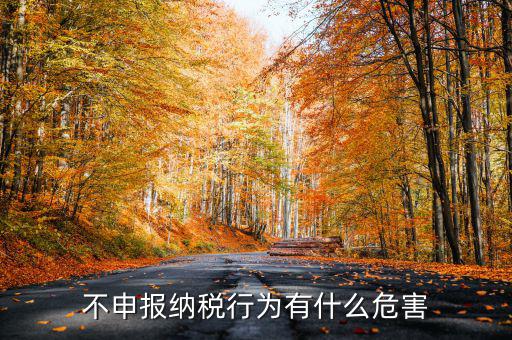 0申報稅沒有報會有什么影響，不申報納稅行為有什么危害
