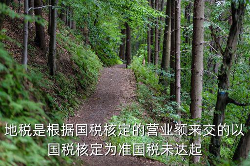 地稅定稅是根據(jù)什么定的，問題國稅和地稅的定稅依據(jù)是什么