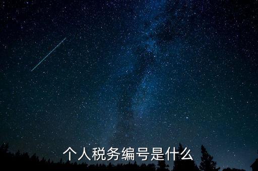 個人的稅收編號是什么，個人所得稅里面的注冊編碼是什么