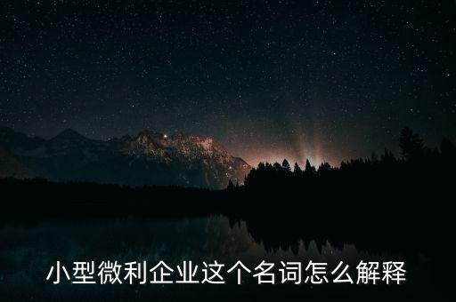 微利成公司是什么意思，小型微利企業(yè)這個(gè)名詞怎么解釋