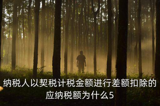 為什么 契稅 差額計稅，最新房產(chǎn)稅費