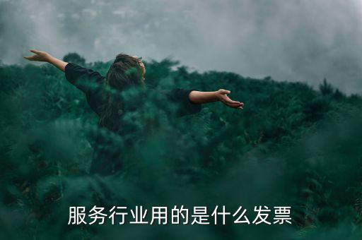 服務(wù)業(yè)發(fā)票是什么發(fā)票，服務(wù)發(fā)票是不是普通發(fā)票的一種