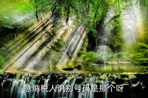 納稅人識別卡是什么，一般納稅人的IC卡的型號中JK100和JK300有什么區(qū)別