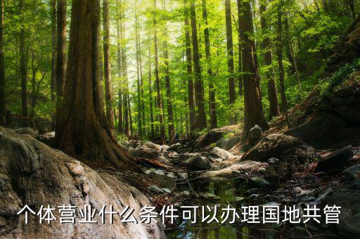 國地管戶類型是什么，國稅地稅共管戶
