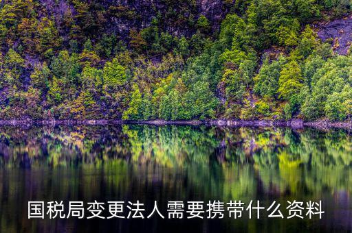 稅務變更法人需要什么資料，國稅局變更法人需要攜帶什么資料