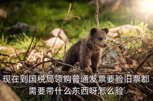 發(fā)票驗(yàn)舊都需要帶什么，現(xiàn)在到國稅局領(lǐng)購普通發(fā)票要驗(yàn)舊票都需要帶什么東西呀怎么驗(yàn)