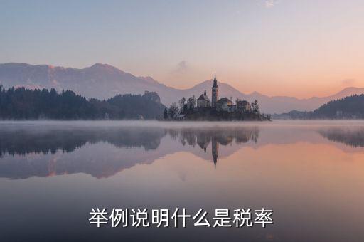 稅率說明是什么意思，稅率是什么意思