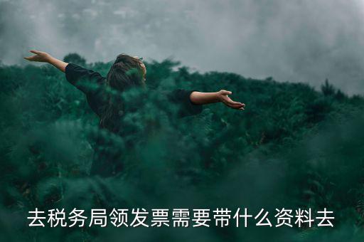 領(lǐng)電子發(fā)票需要帶什么資料，去稅務局領(lǐng)發(fā)票需要帶什么資料去