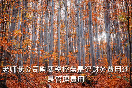 老師我公司購買稅控盤是記財務(wù)費(fèi)用還是管理費(fèi)用