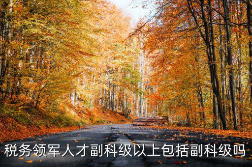 稅務領(lǐng)軍人才副科級以上包括副科級嗎