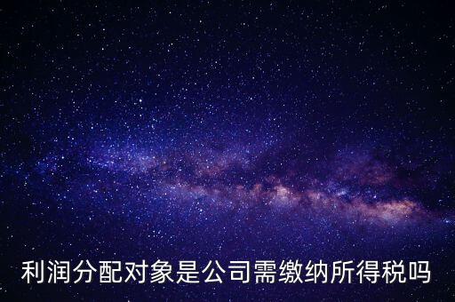 利潤分配交什么稅，企業(yè)年終利潤分配還要再繳什么稅嗎