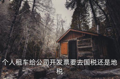 個(gè)人租車給公司開發(fā)票要去國(guó)稅還是地稅