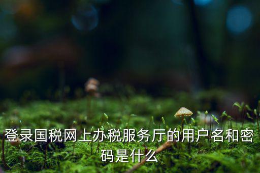 電子稅務(wù)密碼是什么，登錄國(guó)稅網(wǎng)上辦稅服務(wù)廳的用戶名和密碼是什么