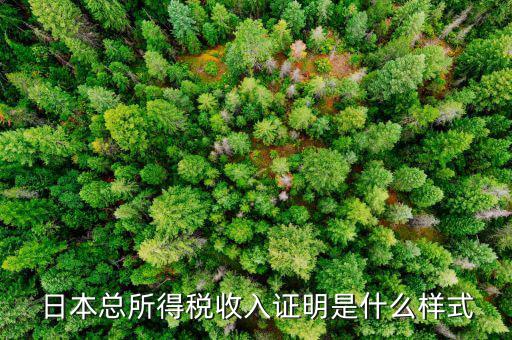 為什么源泉稅是0，請問我們在公司打工開車的也要交個人稅嘛