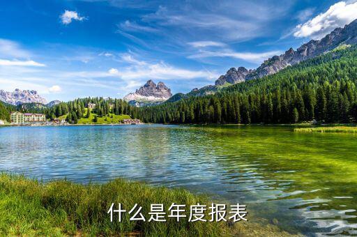 報(bào)稅的年度報(bào)表是什么意思，什么是年度報(bào)表