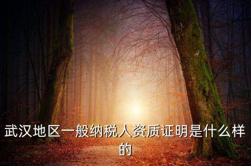 納稅資質(zhì)證明是什么意思，什么是稅務(wù)證明