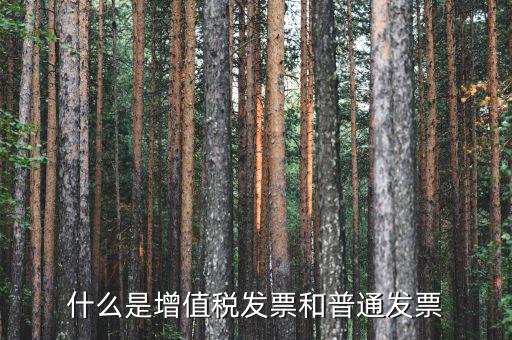 增值稅普通發(fā)票卷票是什么，卷票和普通增值稅發(fā)票有什么區(qū)別嗎