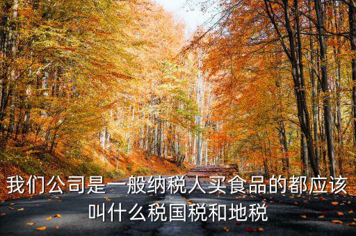 國(guó)稅叫什么公司，我們公司是一般納稅人買食品的都應(yīng)該叫什么稅國(guó)稅和地稅