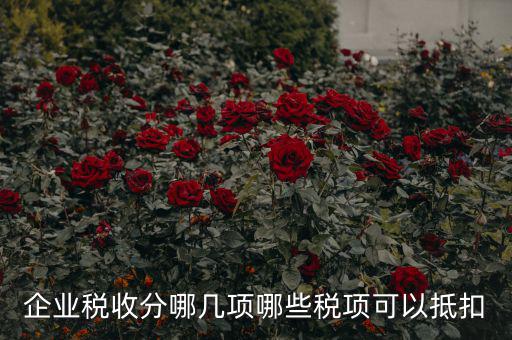 什么可以抵企業(yè)所得稅，什么費用可以抵企業(yè)所得稅