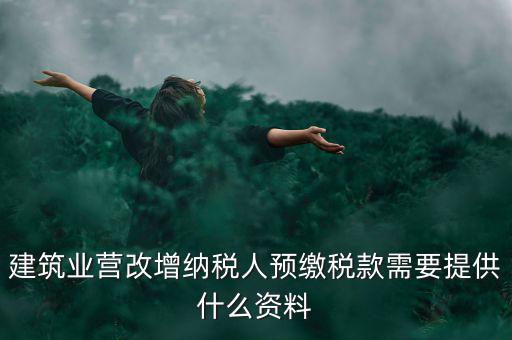 預(yù)繳稅款要什么資料，到國稅局預(yù)交稅款需要帶什么東西