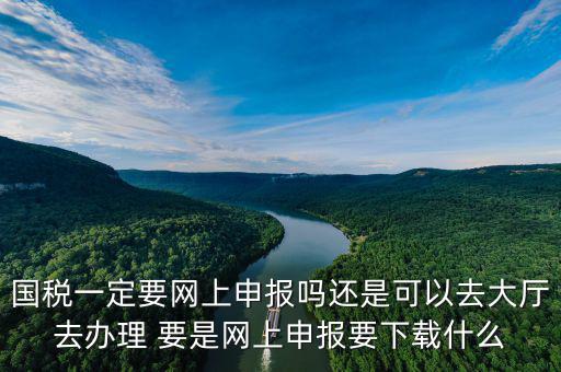 地稅進國稅要下載什么，深圳國地稅想網(wǎng)上申報要下載什么東西嗎