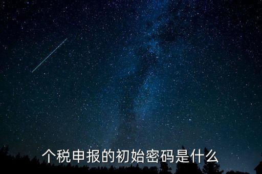個稅查詢密碼是什么意思，個人所得稅明細申報向稅務機關(guān)提交的使用哪個密碼 是幾位