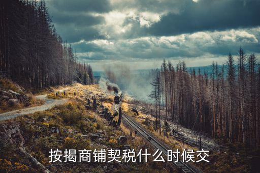 商鋪?zhàn)赓U稅什么時候交，租賃店鋪一般首次需要繳納幾個月的租金
