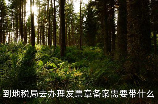 去地稅局備案需要什么，地稅備案需要什么資料