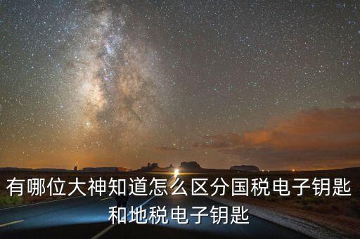 國稅電子鑰匙是什么，稅務密鑰是什么東西是數(shù)字證書嗎