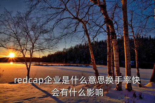 大企業(yè)局是什么意思，廣東省地稅網(wǎng)上的財(cái)務(wù)報(bào)表中的大企業(yè)局?jǐn)?shù)據(jù)報(bào)送是指什么
