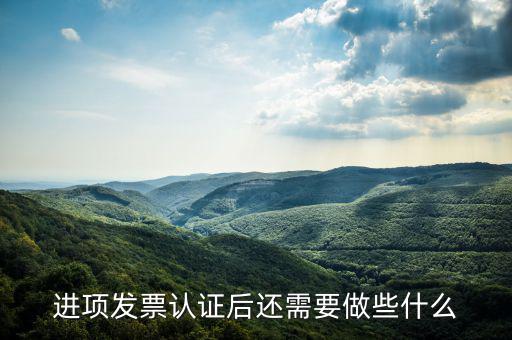 核定發(fā)票后發(fā)行后還坐什么，認(rèn)證完發(fā)票在干什么