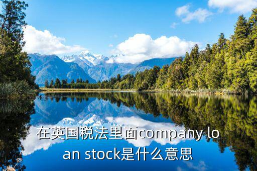 英國(guó)出國(guó)稅 是什么意思，在英國(guó)稅法里面company loan stock是什么意思