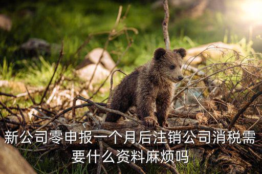 注銷稅盤需要什么資料，新公司零申報(bào)一個(gè)月后注銷公司消稅需要什么資料麻煩嗎